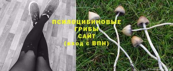 соль ск Коряжма