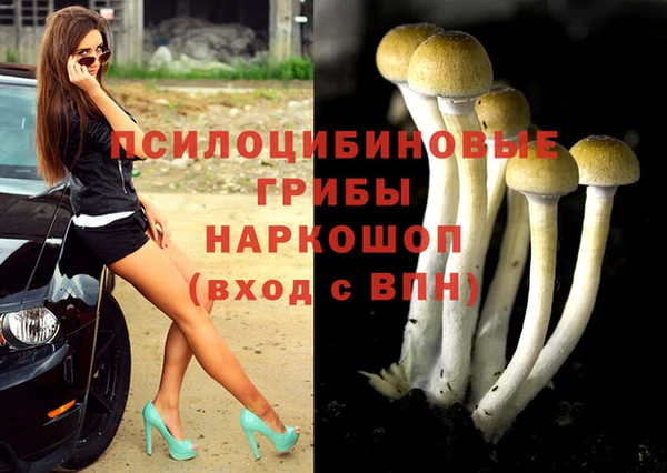 соль ск Коряжма
