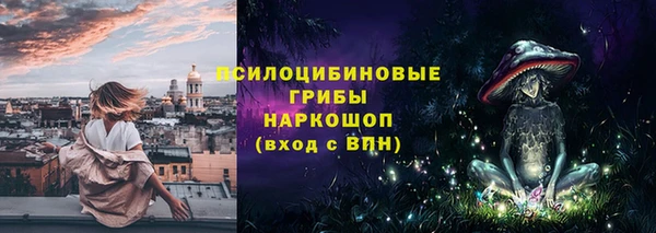 apvp Костерёво