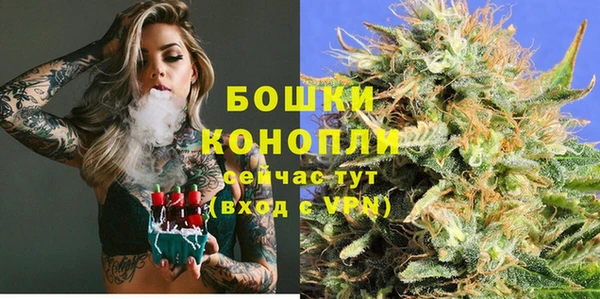 apvp Костерёво