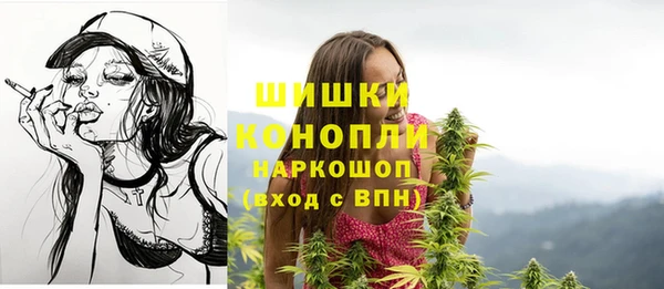 apvp Костерёво