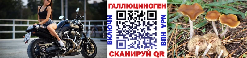 купить закладку  Киреевск  Галлюциногенные грибы прущие грибы 